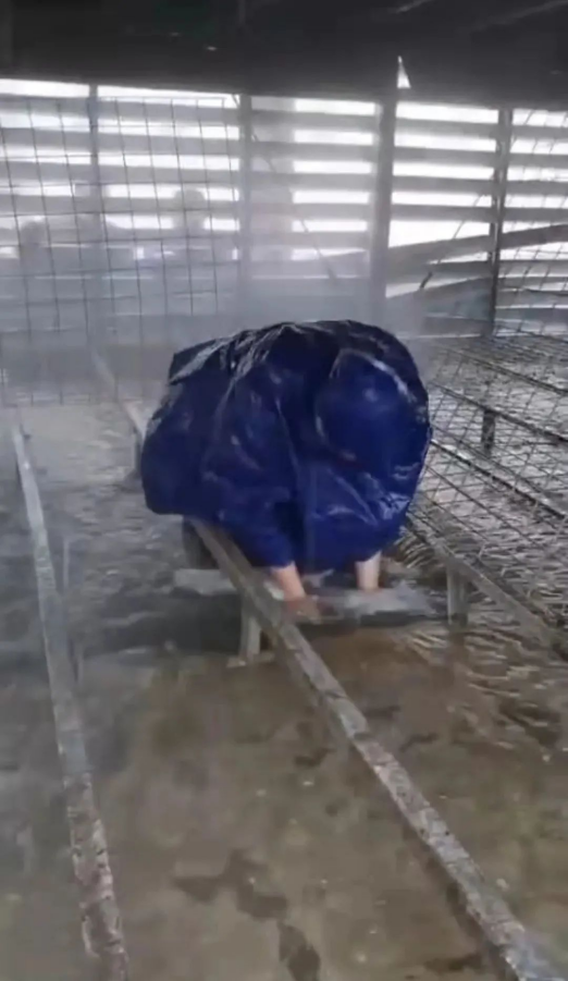 涉水搶修 筑牢屏障——光伏新材料搶修疏通循環(huán)水冷卻塔進水管道紀(jì)實